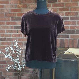 Gap Brown Velour Top